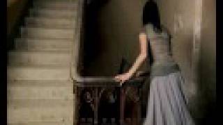 Damien J Carter - What World