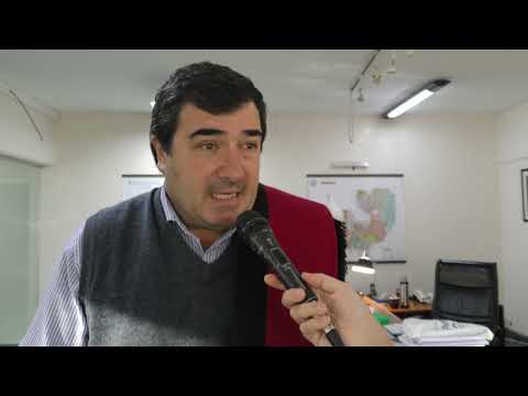 La Provincia analiza estrategias para facilitar el acceso al mercado voluntario de carbono