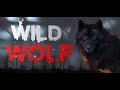 'The Jungle Wolf' New Action Full Movie    Latest Action 2020