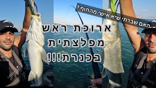 ארוכת ראש מפלצתית בכנרת . האם שברתי את השיא שלי מהחוף ? סשן שקיעה עם הפתעה ענקית.
