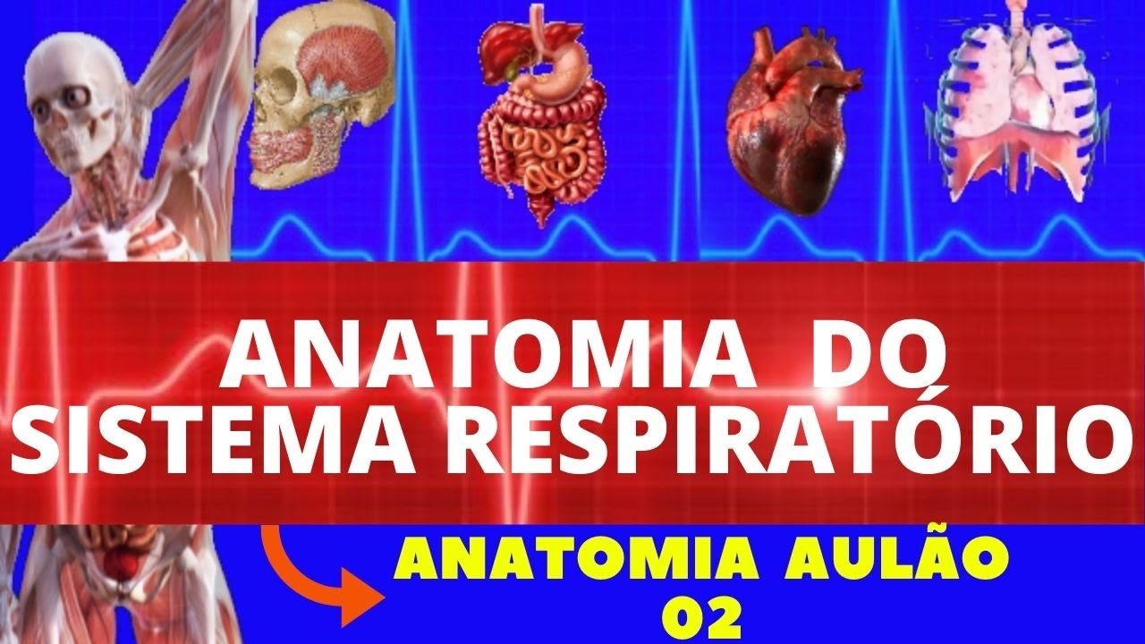 ANATOMIA COMPLETA DO SISTEMA RESPIRATÓRIO (ANATOMIA HUMANA) - SISTEMA RESPIRATÓRIO #ANATOMIA