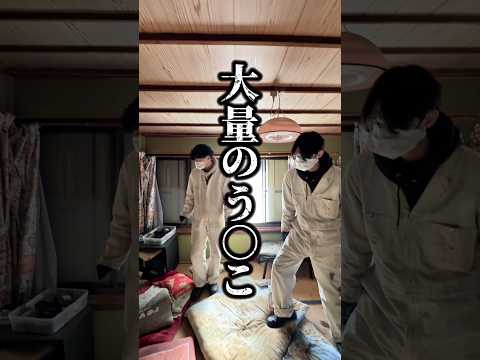 【借金して廃墟を購入！】廃墟は2軒あって片付けだけで精一杯です、、 #古民家diy #リフォーム #セルフリノベーション #リノベーション