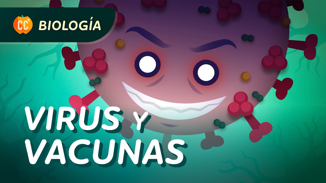 Como funcionan los vacunas?: Crash Course Biología #39