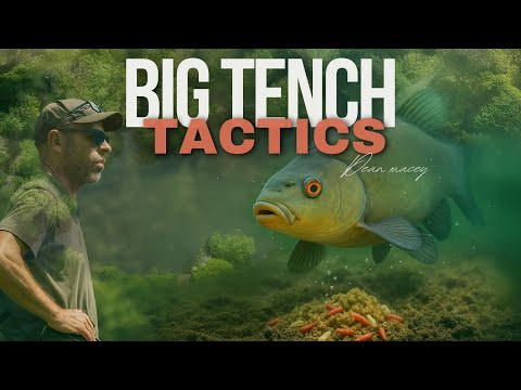 Big Tench Tactics | Dean Macey | 3 Ponds Holiday Park