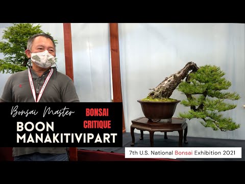 Bonsai critique with Bonsai Master Boon Manakitivipart - 7th U.S National Bonsai Exhibition