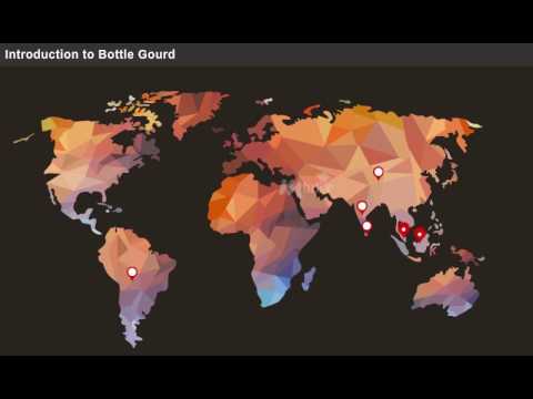 Production Technology of Gourds   Part   II [year-2]
