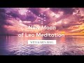 New Moon of Leo Meditation with Karen Berg