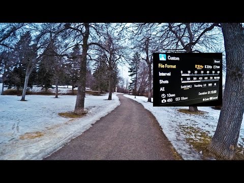 Florijn Winterloop Woudenberg Bosloop 10km parcours route