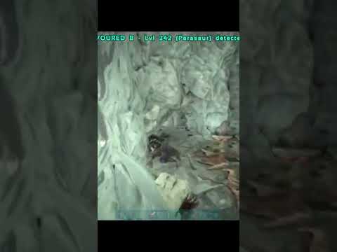 I Dove Past Their Wall! - Ark #Shorts