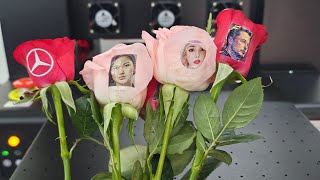 GNFEI F33FR Rose Flower Printer demo — print photo on fresh rose petal
