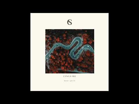 Indefinite Pitch PREMIERES. Mersel - Dragon Words [CINUS]