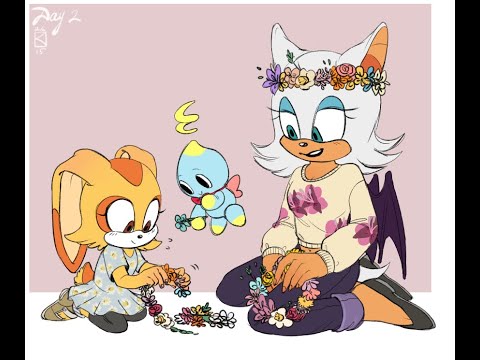 Top 10 my favorite Sonic girls