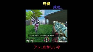 奇襲しては見たものの…