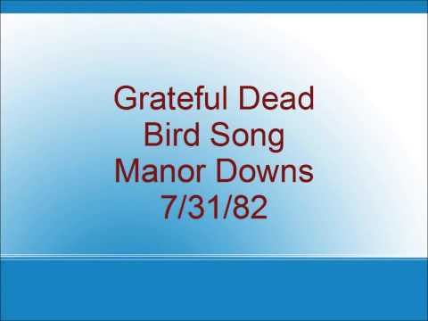 Video thumbnail for Bird Song (Live at Manor Downs, Austin, TX, July 31, 1982)