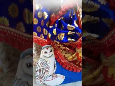 PaperLaxmi2022✨ By Ritwika Mallick Arts #lokkhipuja #trending #craft #paperlaxmi