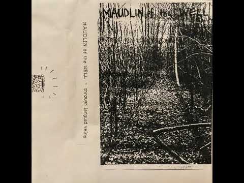 Maudlin of the well - Through Languid Veins (1996)