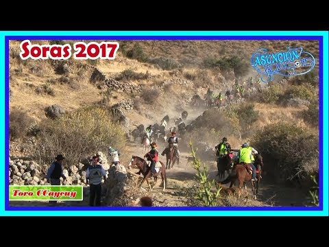 🎧🎼🌺 TORO CCAYCUY en SORAS SUCRE AYACUCHO 2017 🎤🍻💕