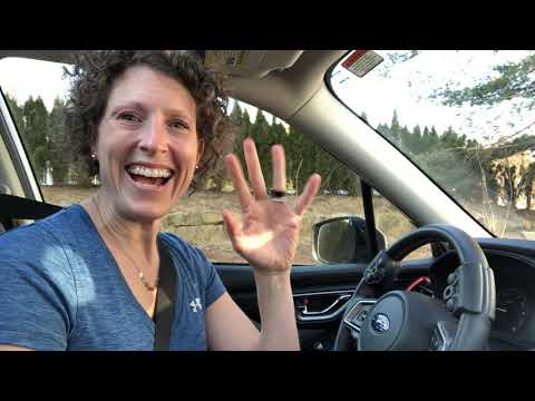 Right hand controls - adaptive driving - OT Driver Specialist - Veigel Compact II