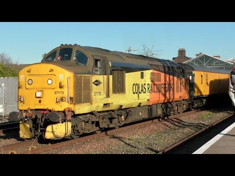 37175 + 37254 at Chester (7/4/25)
