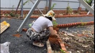 #4: Late autumn is the right time to plant five-color Mai Dia Thao flowers