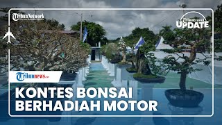 500 Bonsai Meriahkan Pameran Nasional dan Kontes Bonsai di Bangka, Hadiah Utama Satu Unit Motor