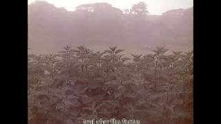 And Also The Trees - Talking Without Words