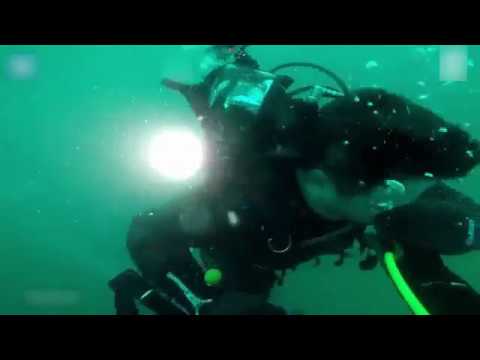 Quick-thinking diver saves mate after underwater oxygen drama