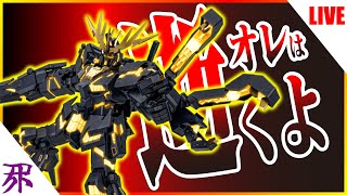 【バンシィ】母さん、ゴメン。