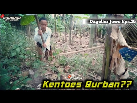 DAGELAN JOWO Eps. 16 - KENTOES QURBAN???  || BAUYUDO_ OFFICIAL