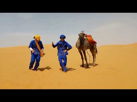 Gotti Mirano _Daisy 🔔 #DaisyBell #Aladdin  #TikTok