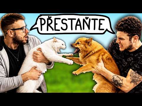 PEJSKAŘI vs. KOČKAŘI