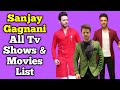 Sanjay Gagnani All Tv Serials List || Full Filmography || Indian Actor || Prithvi of Kundli Bhagya