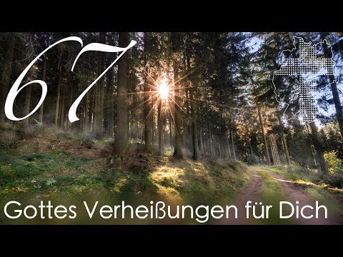 Gottes Verheißungen für Dich - Jeremia 17,7 | Videokalender 67/365 - Deutschland braucht JESUS