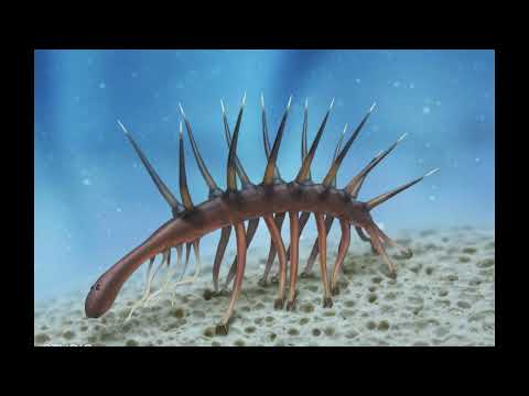 farewell hallucigenia