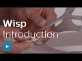 Video: Wisp Nasal Mask