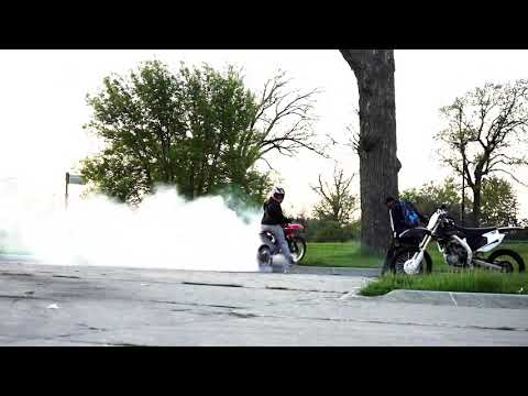 Lucky Boogs x jcook x don p x Options