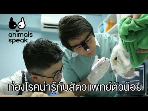 หนังโป๊สมาชิกชายเล็ก ๆ น้อย ๆ สายตา enlarge สมาชิก