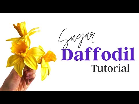 Spring Flowers Cake Decorating // Sugar Daffodils // Finespun Cakes