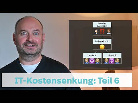 Schnellkurs zur IT-Kostensenkung. Teil 6: Die Umsetzung. Programm-Management, aber richtig