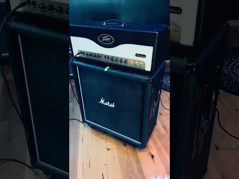 Peavey Windsor 100W guitar amp head image 5