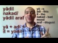 Spoken Arabic lesson 3 - Yes, no, let's go ...