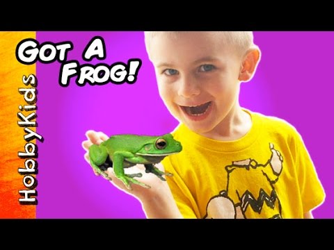 HobbyFrog Buys a Frog From Petco