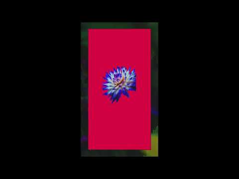 Anfa Rose x ONEFOUR - Hot Minute (VISUALISER) Son remix