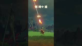 雨時々槍【ゼルダの伝説 ティアーズオブザキングダム】