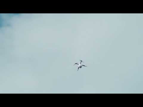 Epic Drone Flight Over the Sky