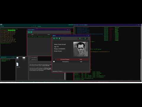 Grey Hack Mission : Police Records Editing With my tools