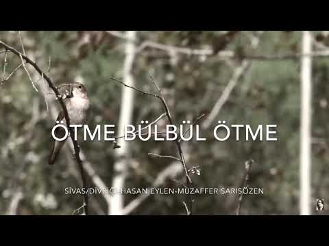 Ötme Bülbül Ötme -Ali Yılmaz/Özenç Çelik/Ali Güven