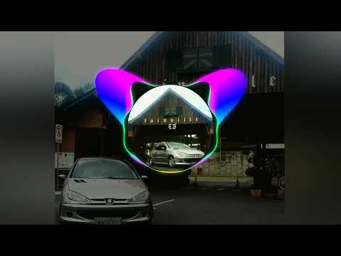 Mega Funk. Peugeot 206 fixa.