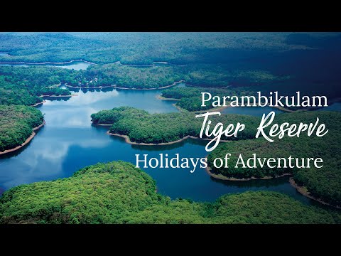 Parambikulam Tiger Reserve 