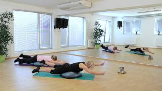 BOSU Pro Balance Trainer